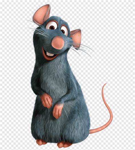 Gray mouse, Ratatouille Mouse The Walt Disney Company Remy Recipe, Rat Mouse, mammal, food png ...