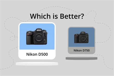 Nikon D500 vs D750 (Which is Better in 2024?)