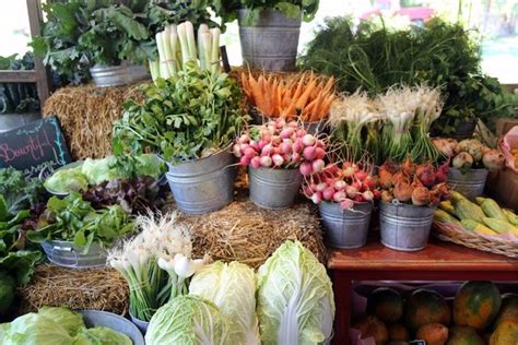 Charleston Farmers Market | Summer Saturdays - Marion Square