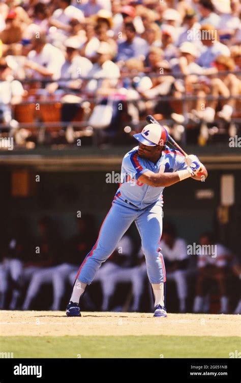 Montreal Expos outfielder Tim Raines -- Please credit photographer Kirk ...