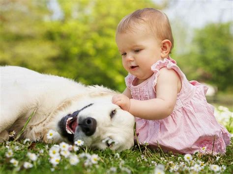 Download New Desktop Full HD Wallpapers | HDWalllpapers.com: Cute Baby Playing With Dog HD Wallpaper