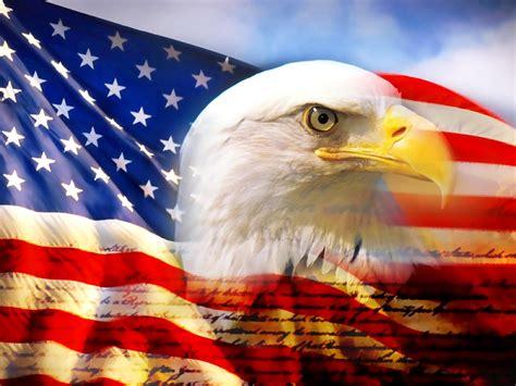 American Flag Eagle