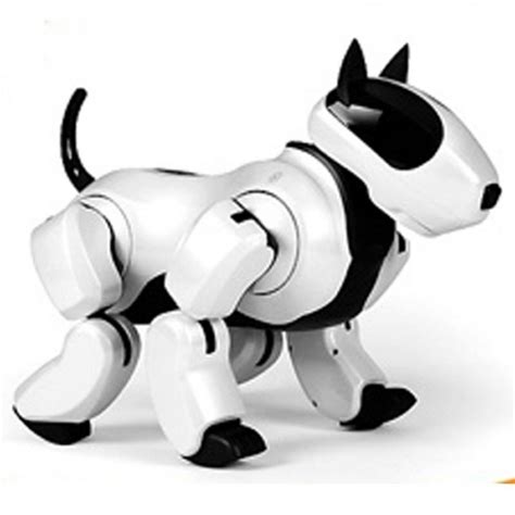 10 Best Pet Robot Toys That Every Human Should Own