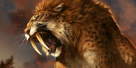 Ancient DNA Connects Saber-Toothed Tigers and House Cats | Inverse