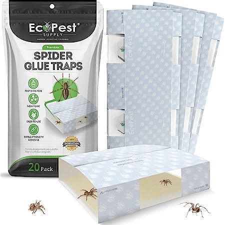 Amazon.com : Spider Traps – 20 Pack | Sticky Indoor Glue Trap for ...