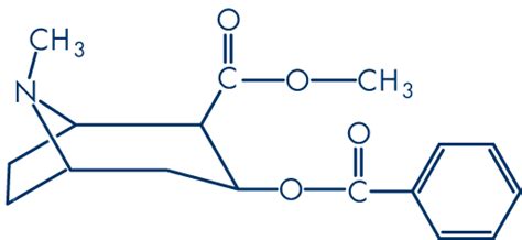 Cocaine facts: How long does Cocaine stay in your system | Drug Details