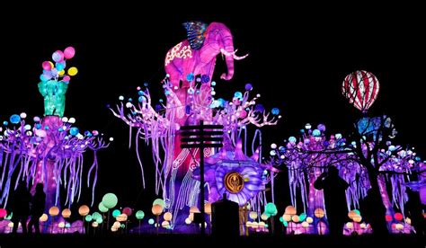 IN PICTURES: Wild Lights at Dublin Zoo returns for 2023 with dazzling display - Page 1 of 8 ...