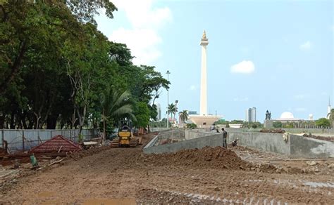 Penebangan Pohon di Monas Ternyata Tanpa Rekomendasi Dinas Hutan Kota ...