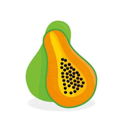 Papaya Vector Illustration Isolated On White Background Papaya Fruit Clip Art, Fruit, Food ...