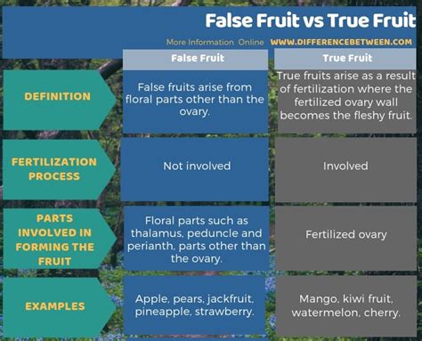 Difference Between False Fruit and True Fruit | Compare the Difference Between Similar Terms