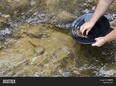 Gold Panning Gold Image & Photo (Free Trial) | Bigstock