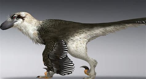 Dakotaraptor Pictures & Facts - The Dinosaur Database