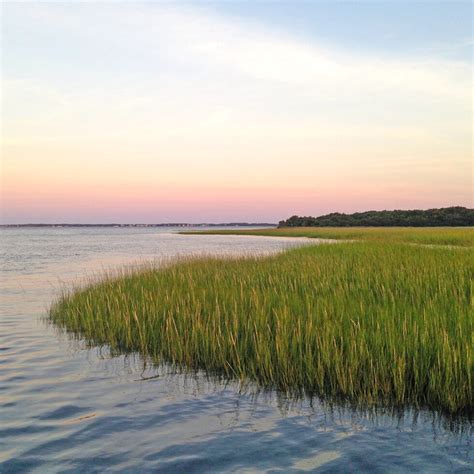 Marine & Coastal Ecosystems | Coastal Studies Institute