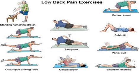Some Best Exercises For Relieving your Low Back Pain
