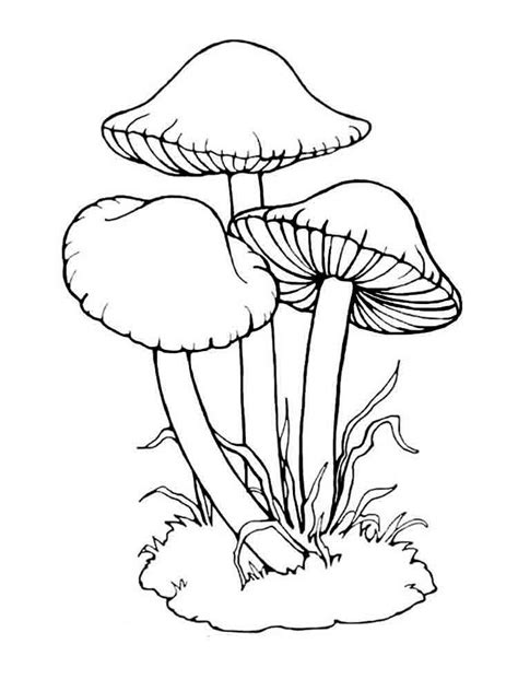 Printable Mushroom Coloring Pages