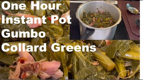 1 Hour Instant Pot Gumbo Collard Greens – Instant Pot Teacher