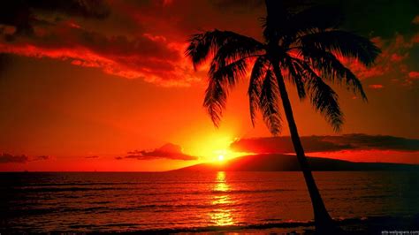 Tropical Island Sunset Wallpapers - Wallpaper Cave