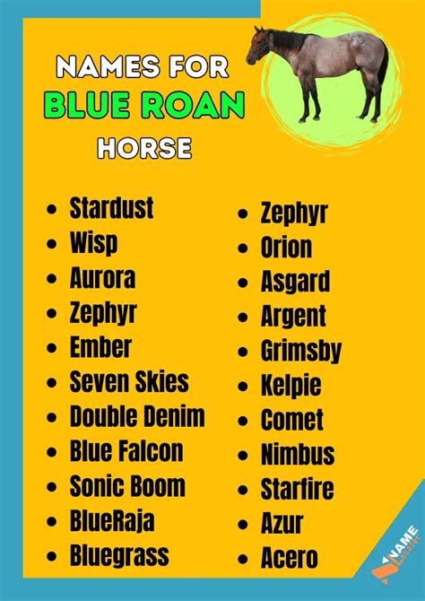 300+ Name Ideas For Blue Roan Horse (With Meaning)