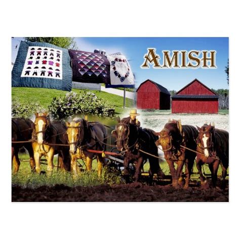 Amish Life in Lancaster, Pennsylvania Postcard | Zazzle