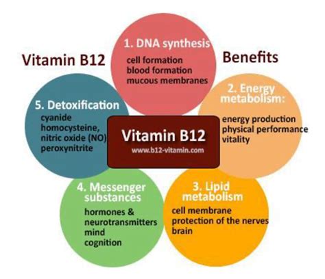 Vitamin B12 - The ever-important nutrient. What your genetics may tell you? | MTHFR Support ...