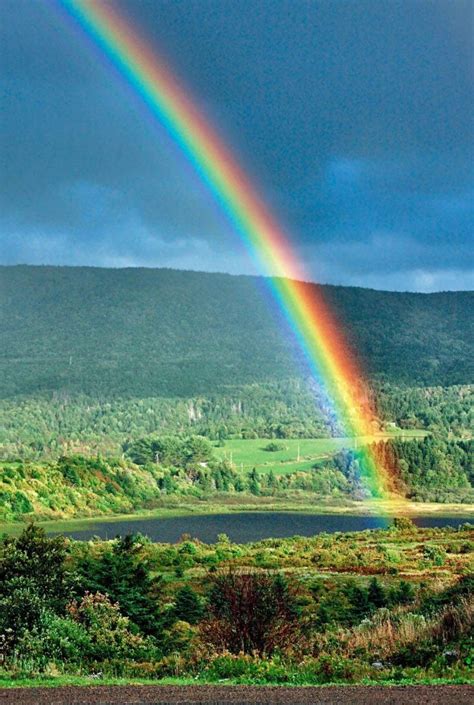 After the Rain: Your Best Rainbow Photography