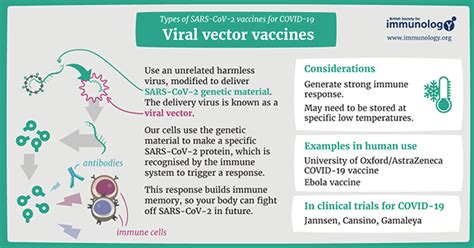 What Is The Difference Between Mrna And Viral Vector Based Vaccines ...