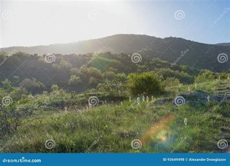 Colorful Summer Sunrise in the Mountains Stock Photo - Image of horizon, meadow: 93649498