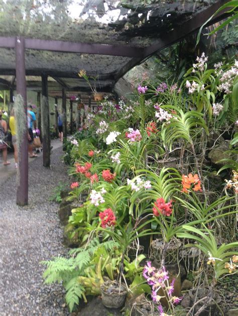 many different types of flowers and plants growing on the ground