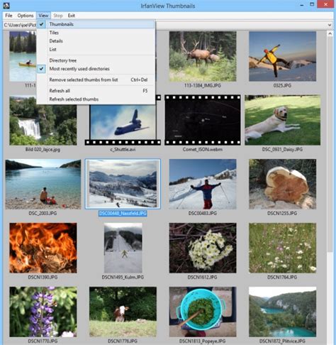 10 Best Google Picasa Alternatives You Should Use (2020) | Beebom