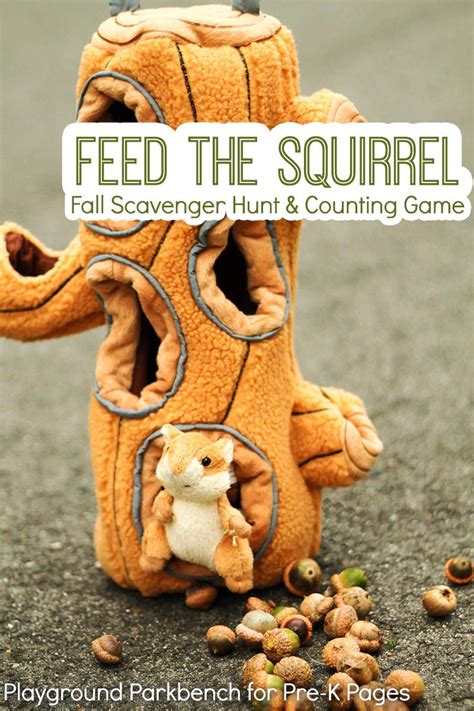 Feed the Squirrel Fall Counting Game - Pre-K Pages | Counting activities preschool, Fall ...
