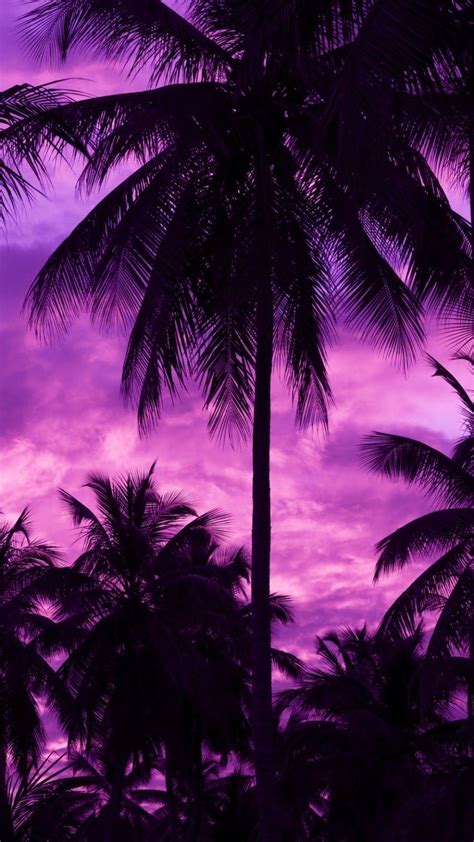 Neon Palm Tree Wallpapers - Top Free Neon Palm Tree Backgrounds ...