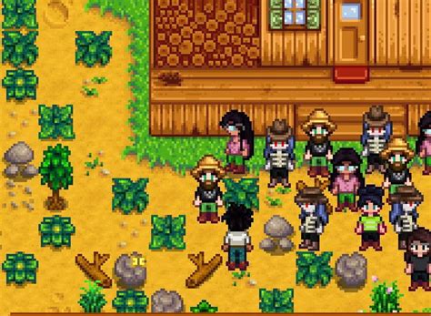 Stardew Valley Multiplayer Update - myPotatoGames