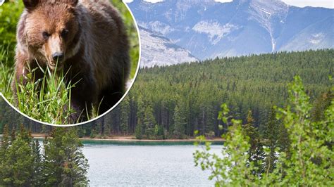 Couple killed in grizzly bear attack in Canada's Banff National Park