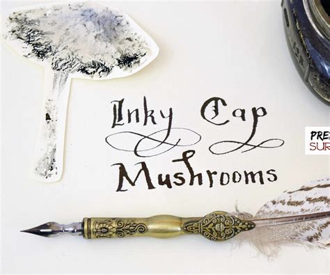 Making Ink From Mushrooms : 5 Steps (with Pictures) - Instructables