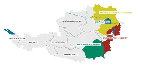 An Intro to Austrian Wines: 5 to Try Have a Taste