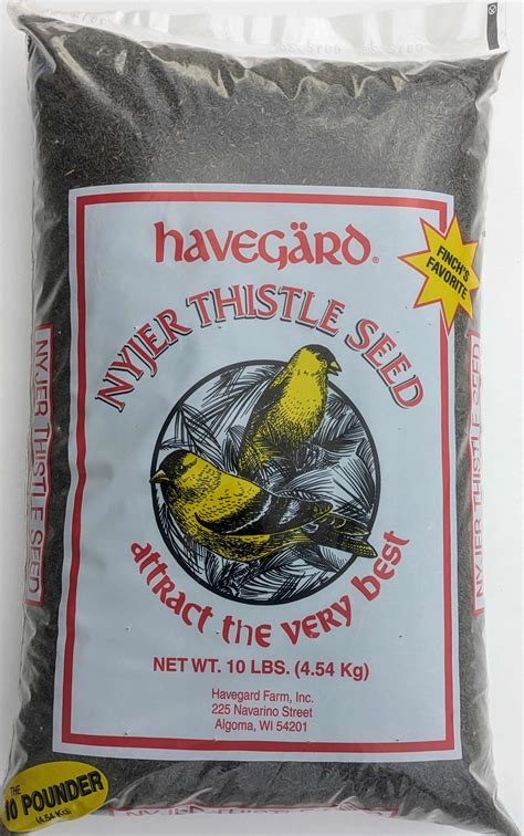 Havegärd Nyjer® Thistle Seed 10 LBS | Havegärd Birdseed