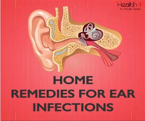 कान की इंफैक्शन के लिए असरदार घरेलू उपचार - home remedies for ear ...