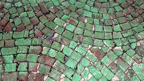 Curved Brick Pavement Free Stock Photo - Public Domain Pictures