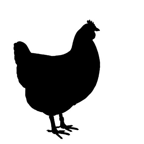 chicken silhouette clipart 20 free Cliparts | Download images on Clipground 2024