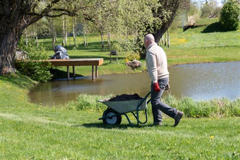 Pond cleaning services - the benefits of hiring such services. – Goodbye to Muck & Weeds