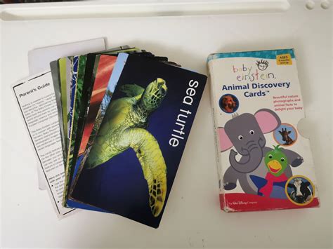 Baby Einstein Animal Discovery Flash Cards, Hobbies & Toys, Books ...