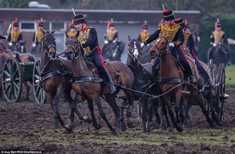 The Kings Troop Royal Horse Artillery inspected in Woolwich Park | Daily Mail Online