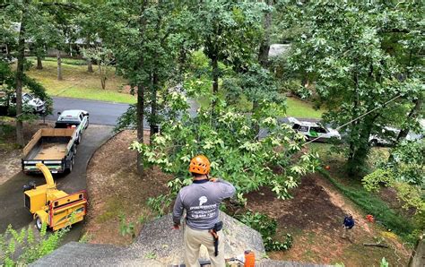 Tree Service Woodstock, GA | Tree Removal, Trimming & Stump Grinding