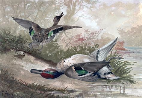 Ducks Vintage Painting Free Stock Photo - Public Domain Pictures