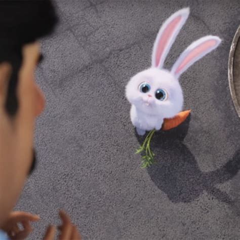 Watch Kevin Hart Voice This Adorable (But Savage) Bunny in 'The Secret Life of Pets' Trailer ...