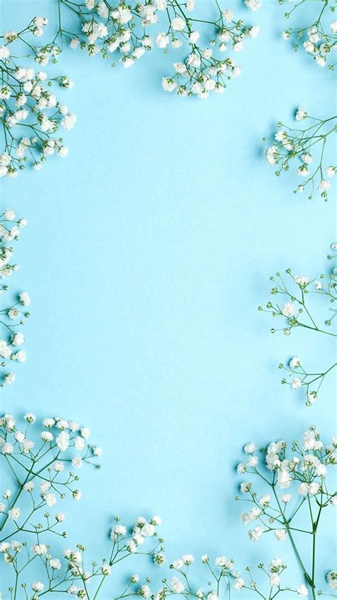 Cute Teal And White Android Background | Flowers photography wallpaper ...