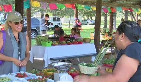 Locally grown products on display at the Village Farmers Market - ABC 6 News - kaaltv.com