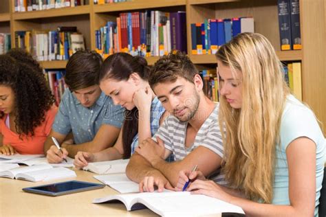 College Students Doing Homework in Library Stock Image - Image of adult ...