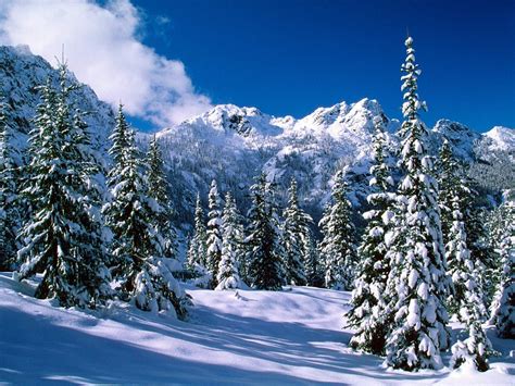 Montana Winter Wallpapers - Top Free Montana Winter Backgrounds - WallpaperAccess