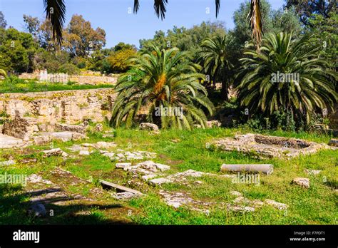 Old Carthage ruins in Tunisia Stock Photo - Alamy